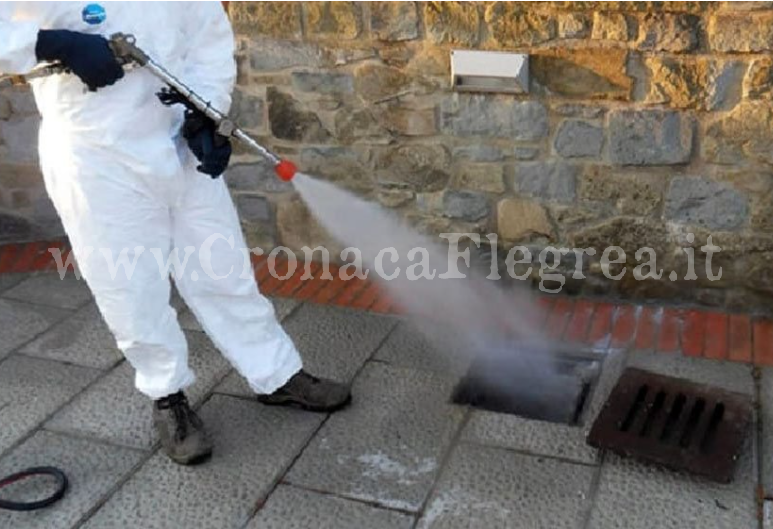 AVVISO - TRATTAMENTO DI DISINFESTAZIONE SUL TERRIROTIO COMUNALE