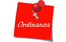 ORDINANZA N. 17