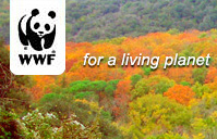 CORSO PER GUIDE NATURALISTICHE DELLA RISERVA NATURALE STATALE DEGLI ASTRONI-OASI DEL WWF