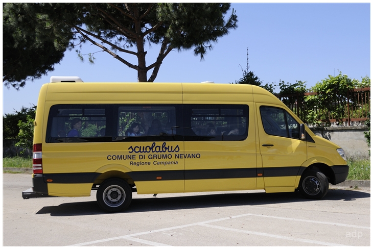 REGOLAMENTO PER IL SERVIZIO DI SCUOLABUS COMUNALE