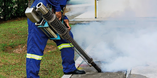SERVIZIO TRIENNALE DI BONIFICA IGIENICO-SANITARIA SUL TERRITORIO