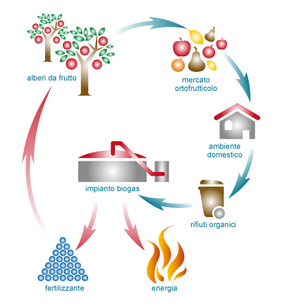 COMUNICAZIONE ATTIVAZIONE SOCCORSO ISTRUTTORIO